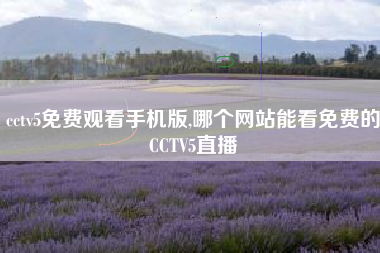 cctv5免费观看手机版,哪个网站能看免费的CCTV5直播